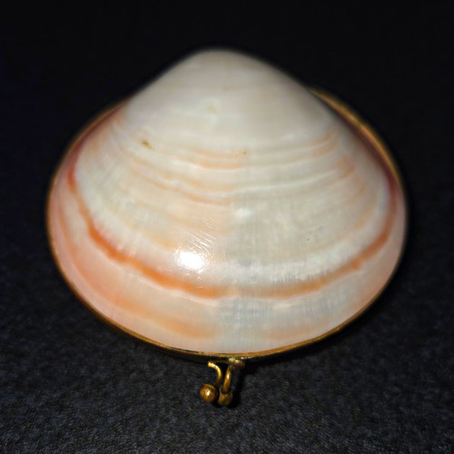 Pillendose/Schmuckkästchen